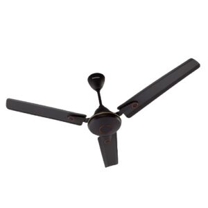 choice ceiling fan